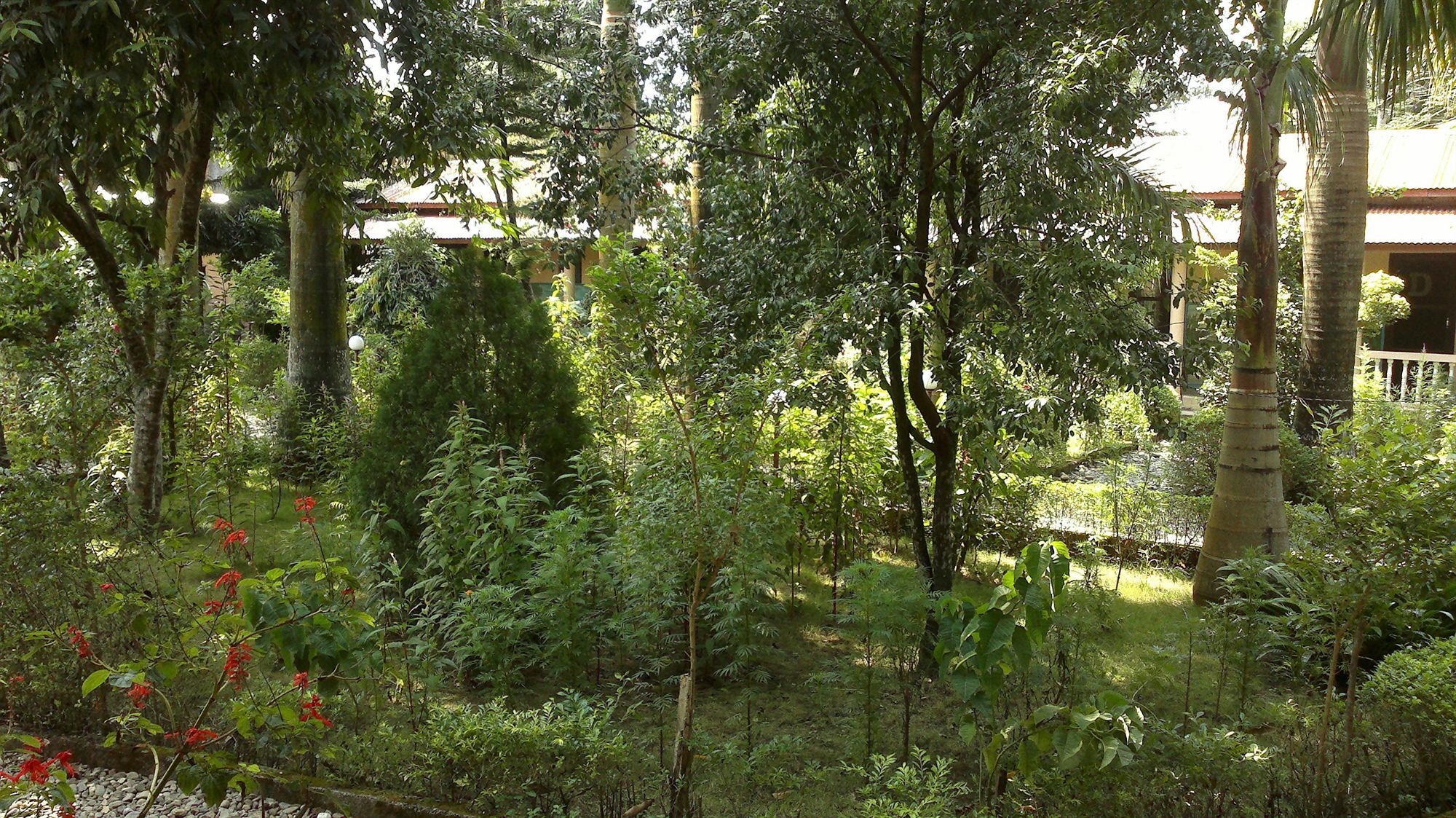 Ama Garden Sauraha Hotel Buitenkant foto