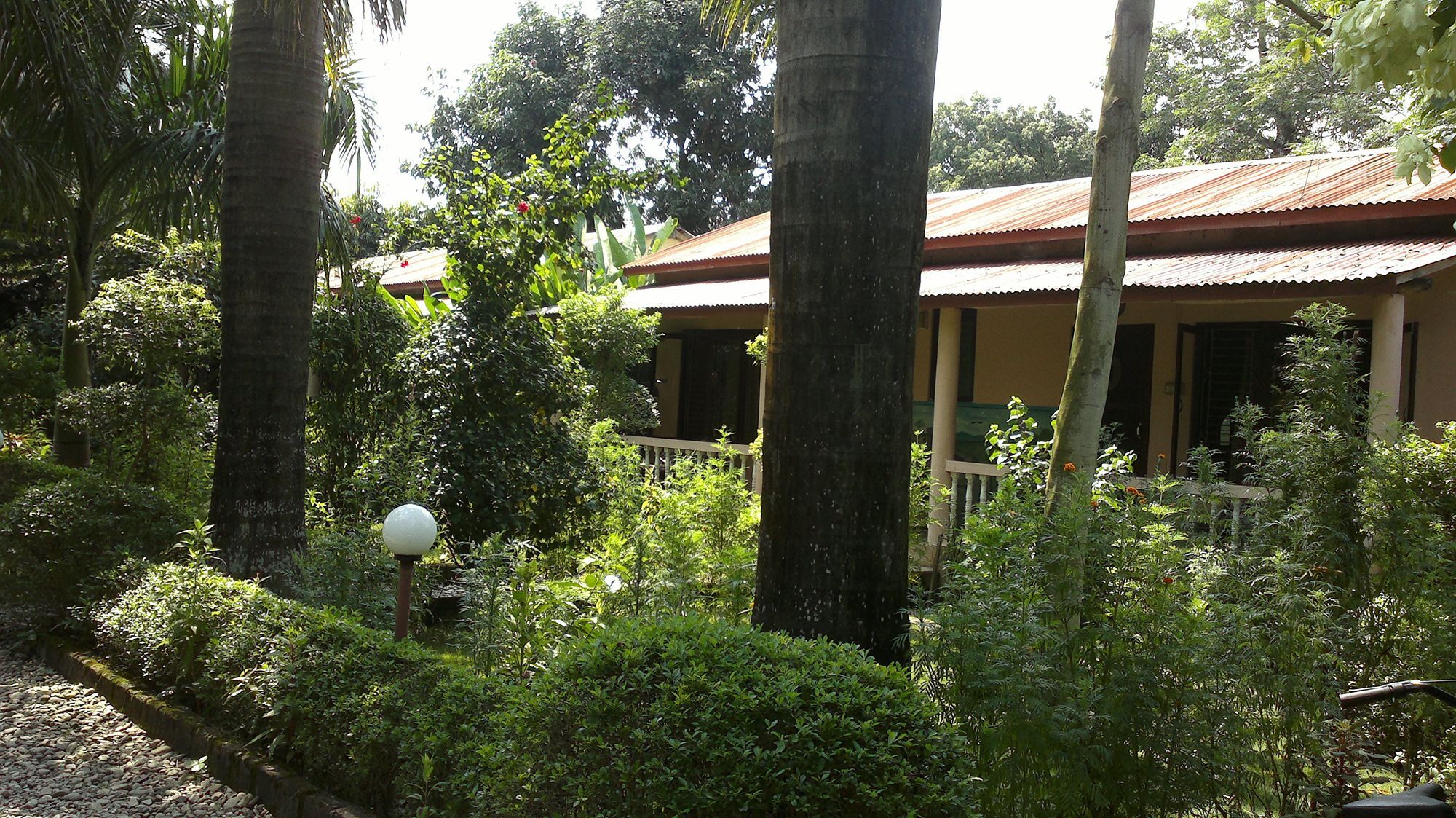 Ama Garden Sauraha Hotel Buitenkant foto