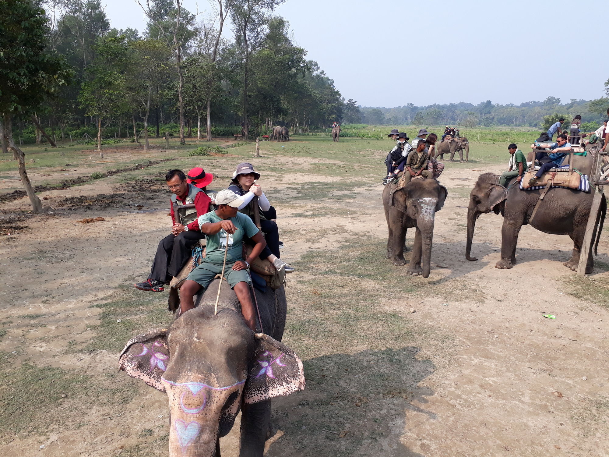 Ama Garden Sauraha Hotel Buitenkant foto