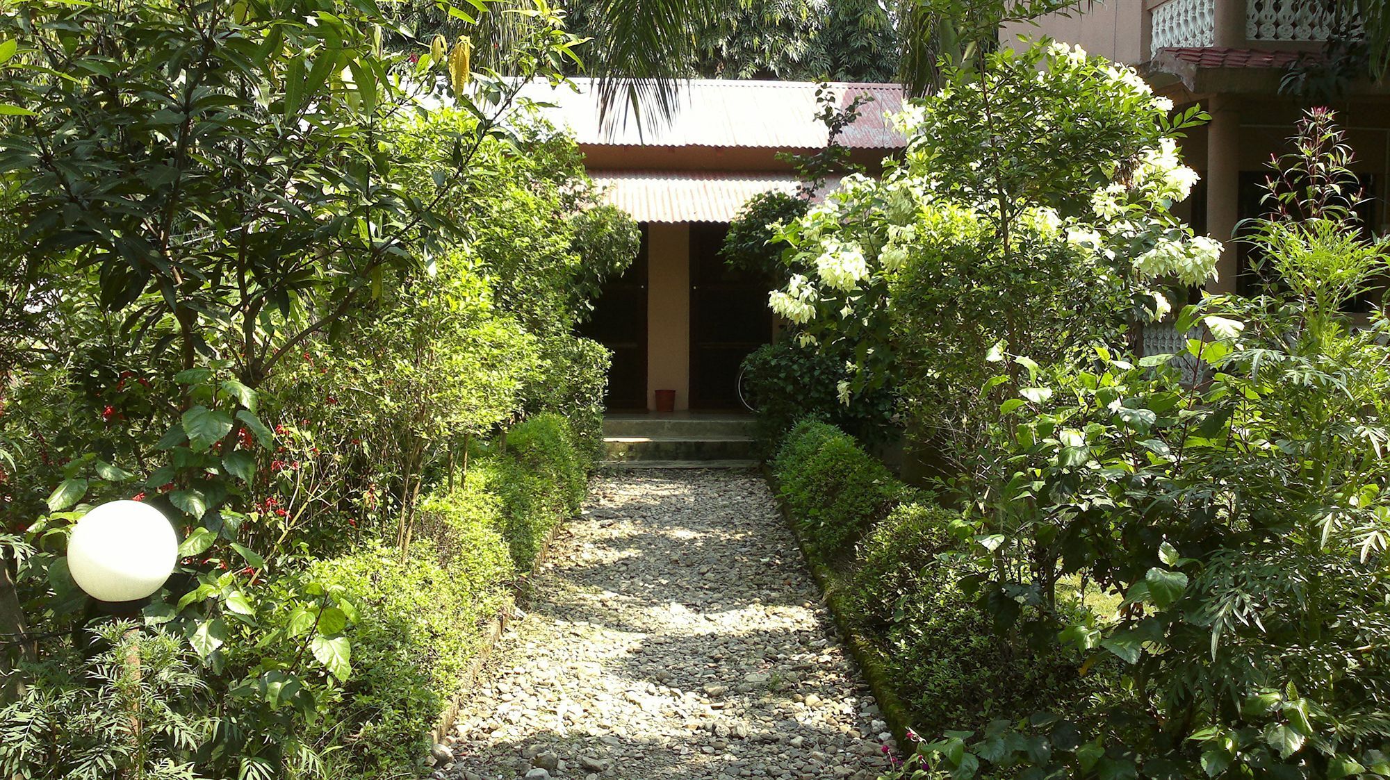 Ama Garden Sauraha Hotel Buitenkant foto