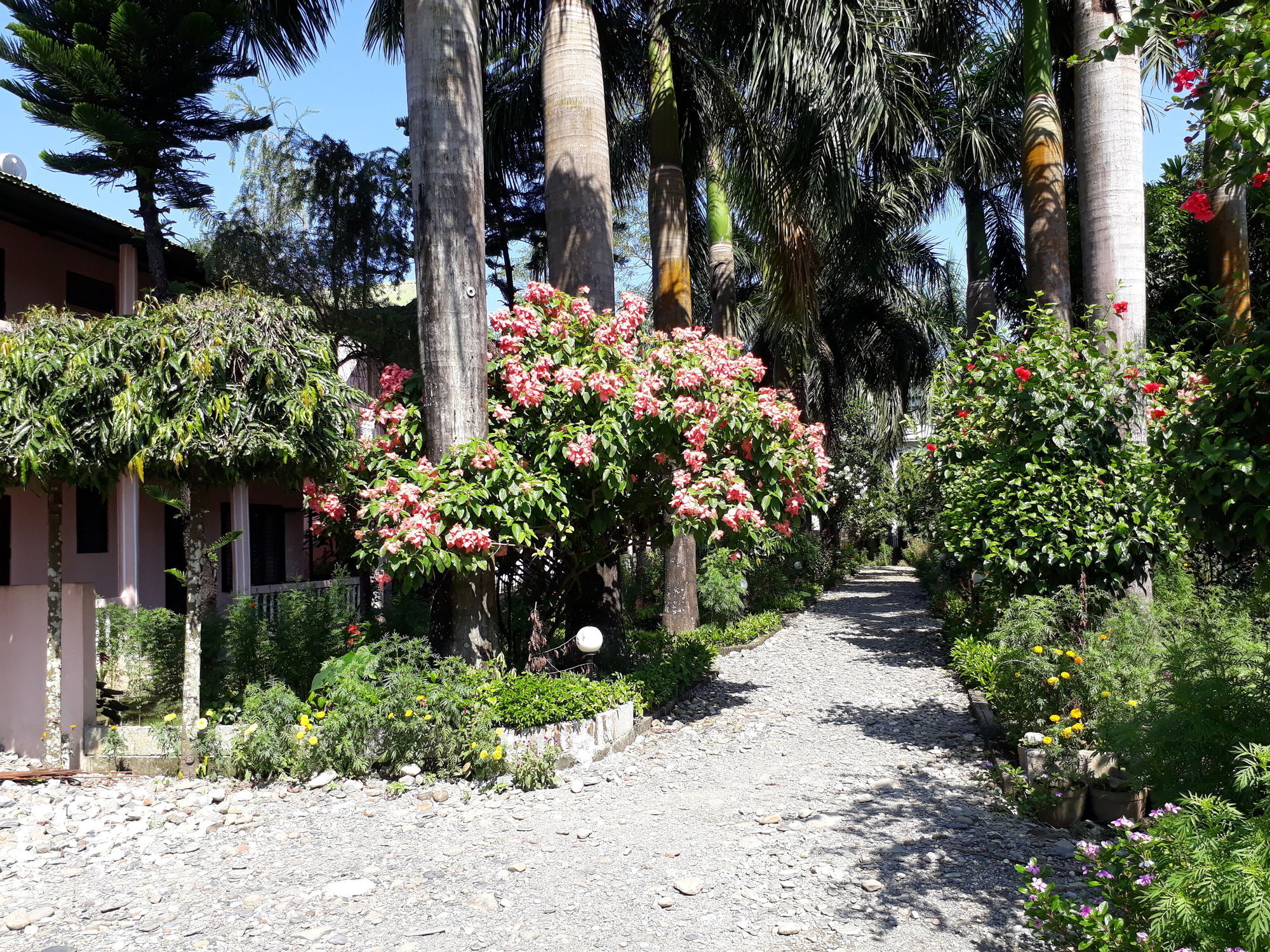 Ama Garden Sauraha Hotel Buitenkant foto