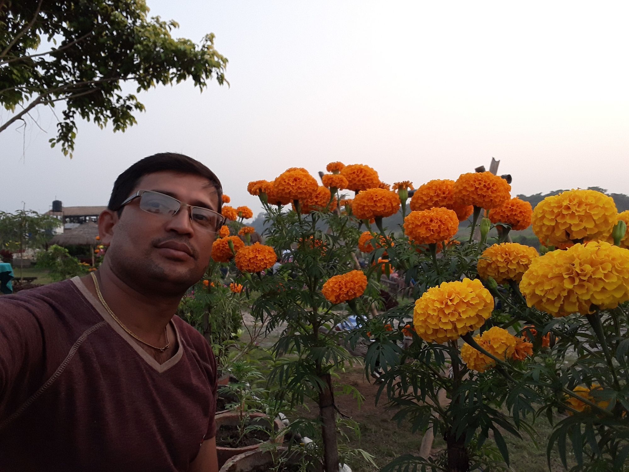 Ama Garden Sauraha Hotel Buitenkant foto