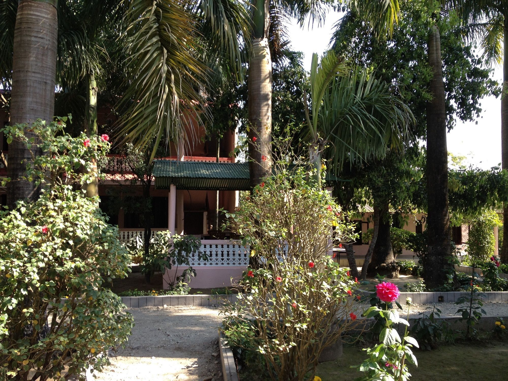 Ama Garden Sauraha Hotel Buitenkant foto