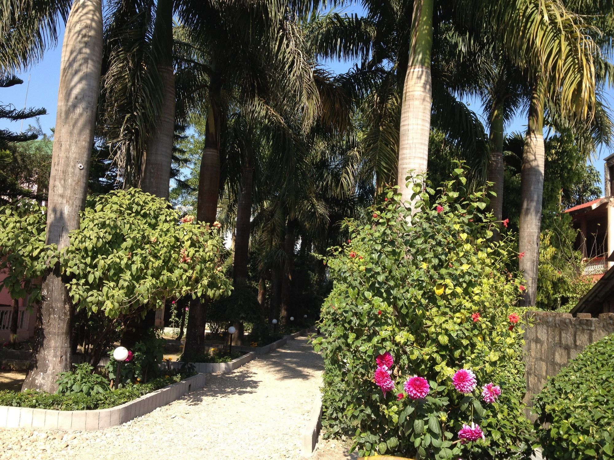 Ama Garden Sauraha Hotel Buitenkant foto