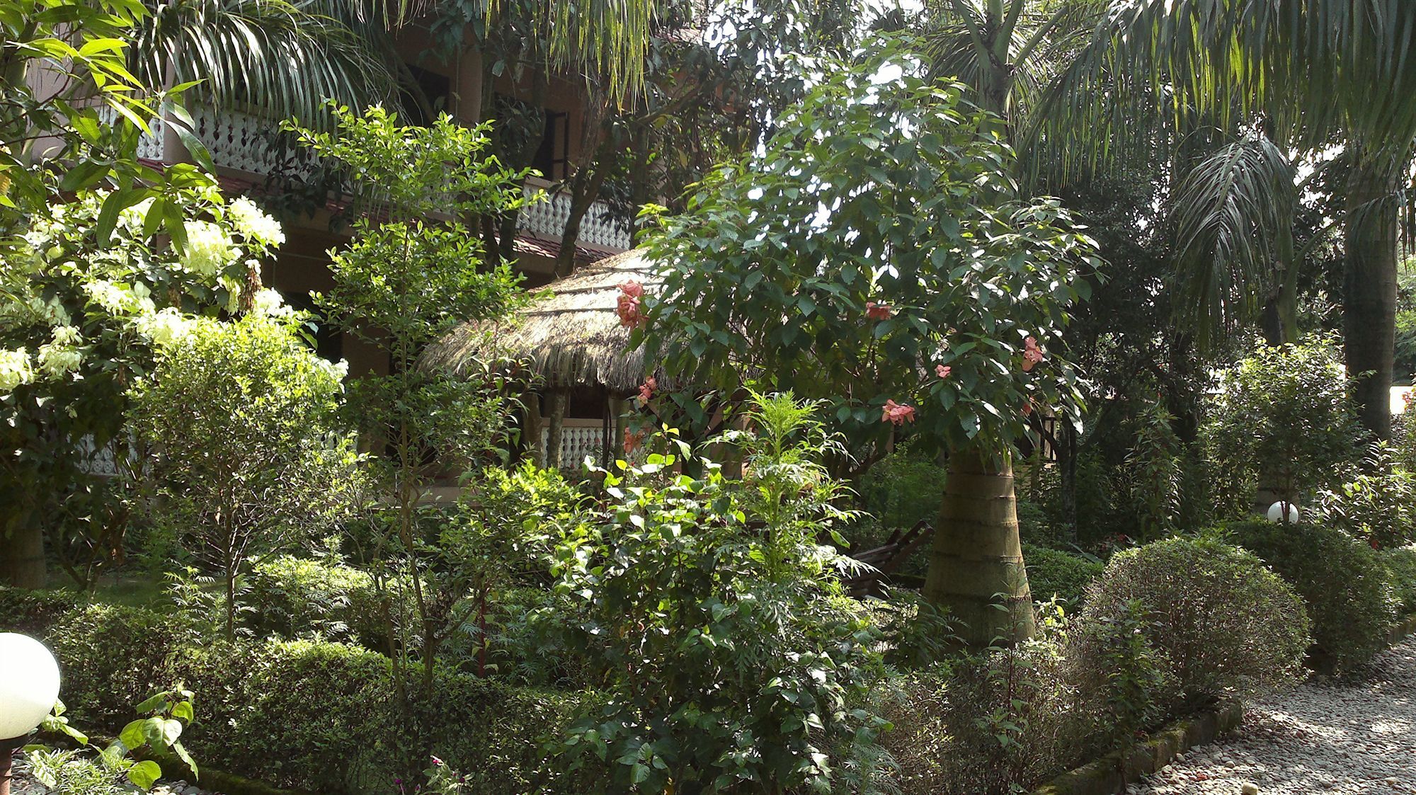 Ama Garden Sauraha Hotel Buitenkant foto
