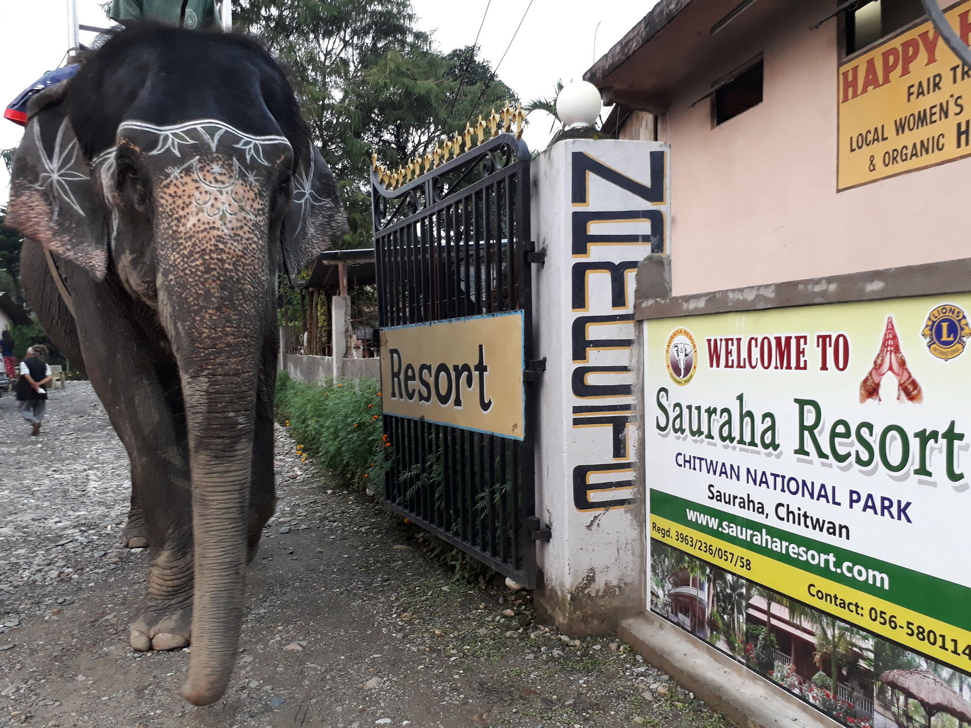Ama Garden Sauraha Hotel Buitenkant foto