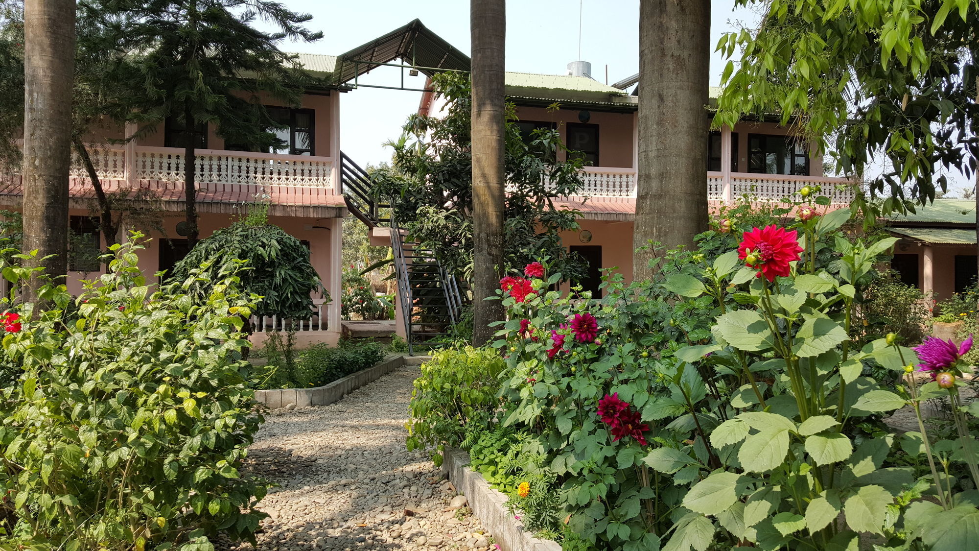Ama Garden Sauraha Hotel Buitenkant foto
